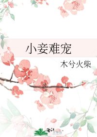 小妾難寵